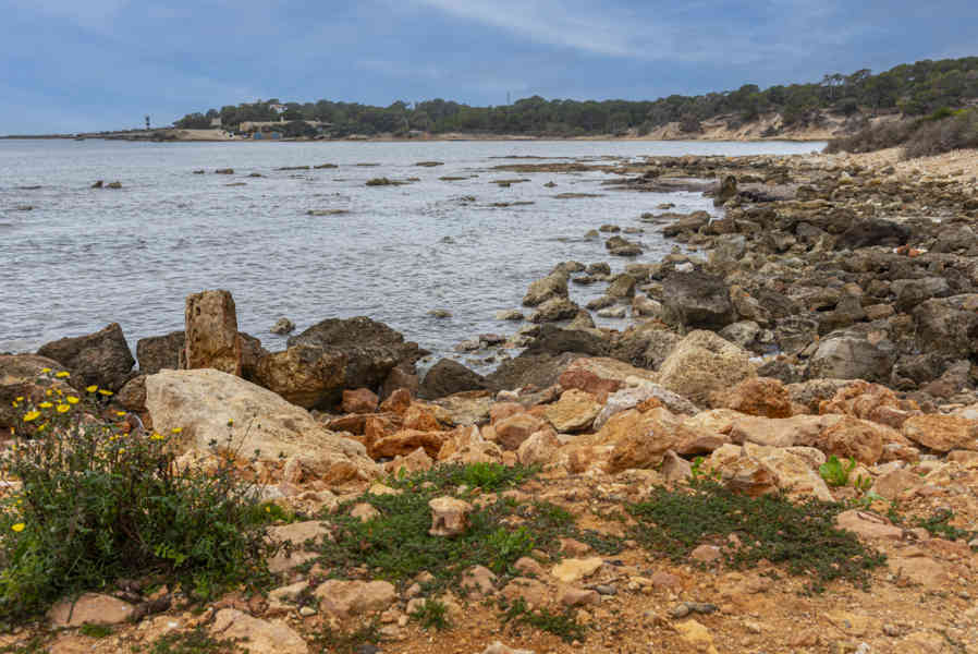 Mallorca - Llucmajor 35 - paisaje.jpg